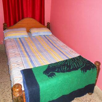 Honey Sweet Home, Coorg 2